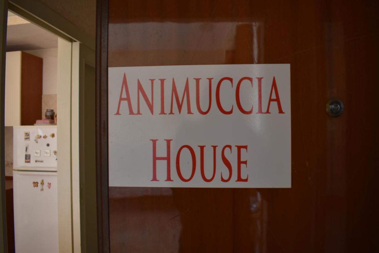 Casa Vacanze "Animuccia House" Roma Exteriör bild